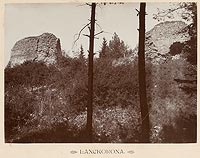 Lanckorona - Ruiny zamku w Lanckoronie na zdjciu Jzefa Zajczkowskiego z 1905 roku